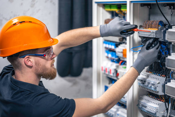 Best Electrician for Home Renovation  in Ridgewood, IL